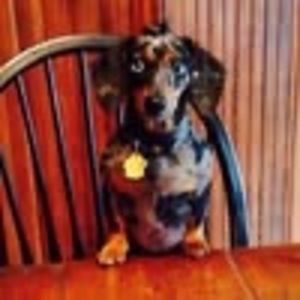 Meet your Posher, Jeanie